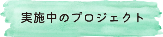 実施中のプロジェクト